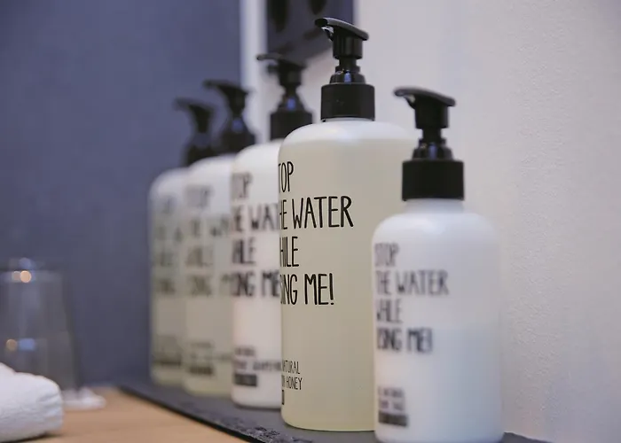 酒店 瑟佩韦特酒店 3*